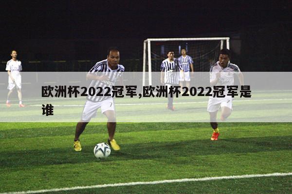 欧洲杯2022冠军,欧洲杯2022冠军是谁