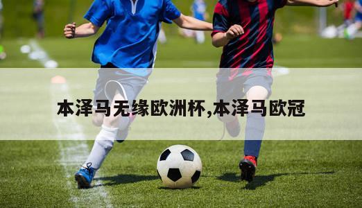 本泽马无缘欧洲杯,本泽马欧冠